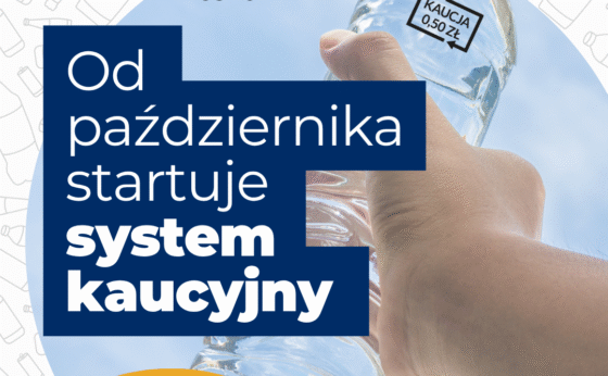 SYSTEM KAUCYJNY SYSTEM KAUCYJNY