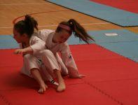 International Karate Open International Karate Open