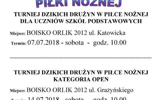 Turnieje piłki nożnej dzikich drużyn – 2018 Turnieje piłki nożnej dzikich drużyn – 2018