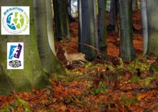 III GP Biegatonu - Leśna Szarańcza 2018 