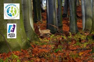 III GP Biegatonu – Leśna Szarańcza 2018 „Dla Nikosia” Bieg nr 1 III GP Biegatonu – Leśna Szarańcza 2018 „Dla Nikosia” Bieg nr 1