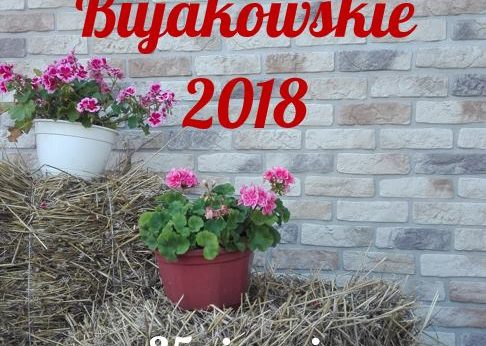 Dożynki w Bujakowie Dożynki w Bujakowie
