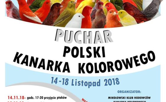Puchar Polski Kanarka Kolorowego Puchar Polski Kanarka Kolorowego