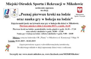 Poznaj pierwsze kroki na lodzie oraz nauka gry w hokeja Poznaj pierwsze kroki na lodzie oraz nauka gry w hokeja