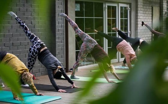 Ashtanga Joga + Medytacja Wyciszenia Ashtanga Joga + Medytacja Wyciszenia
