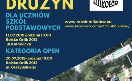 TURNIEJ DZIKICH DRUŻYN W PIŁCE NOŻNEJ DLA DZIECI SZKÓŁ PODSTAWOWYCH TURNIEJ DZIKICH DRUŻYN W PIŁCE NOŻNEJ DLA DZIECI SZKÓŁ PODSTAWOWYCH