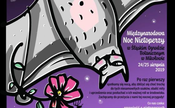 Międzynarodowa Noc Nietoperzy Międzynarodowa Noc Nietoperzy