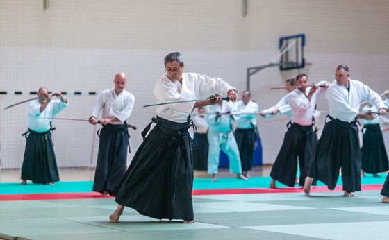 Seminarium Aikido Seminarium Aikido