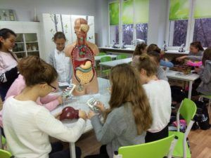 Zielona Pracownia 2019