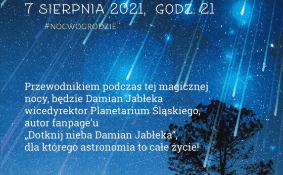 Noc Perseidów Noc Perseidów